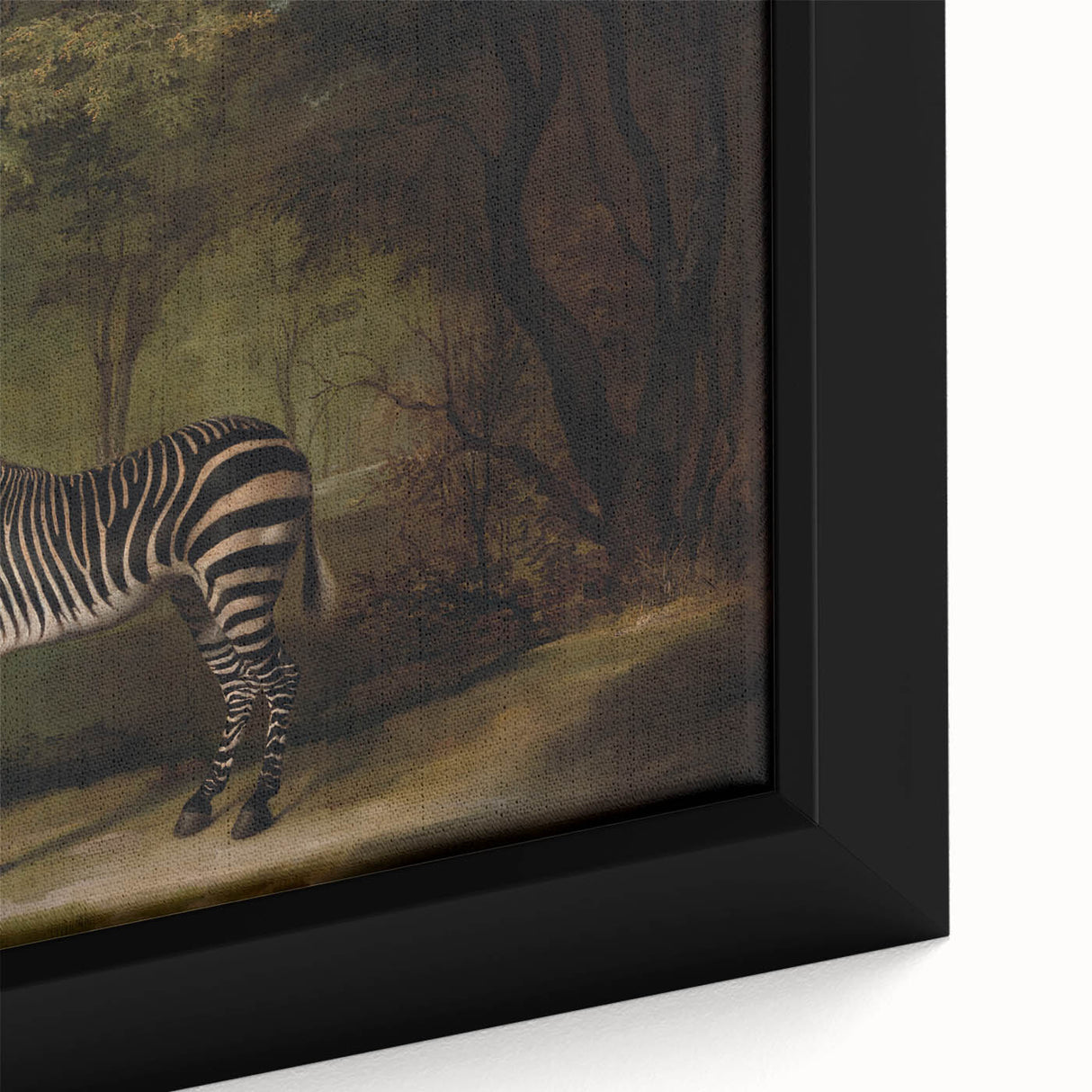 Realism Wildlife Art Print | Zebra in Forest by George Stubbs | Fine Decor