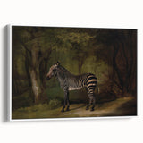 Realism Wildlife Art Print | Zebra in Forest by George Stubbs | Fine Decor