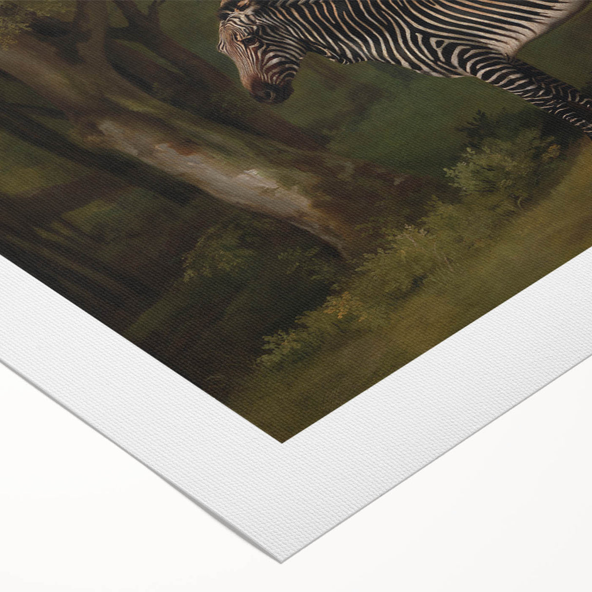 Realism Wildlife Art Print | Zebra in Forest by George Stubbs | Fine Decor