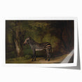 Realism Wildlife Art Print | Zebra in Forest by George Stubbs | Fine Decor