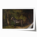 Realism Wildlife Art Print | Zebra in Forest by George Stubbs | Fine Decor