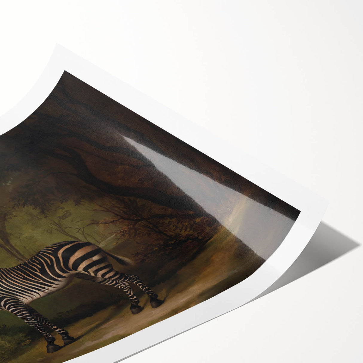 Realism Wildlife Art Print | Zebra in Forest by George Stubbs | Fine Decor