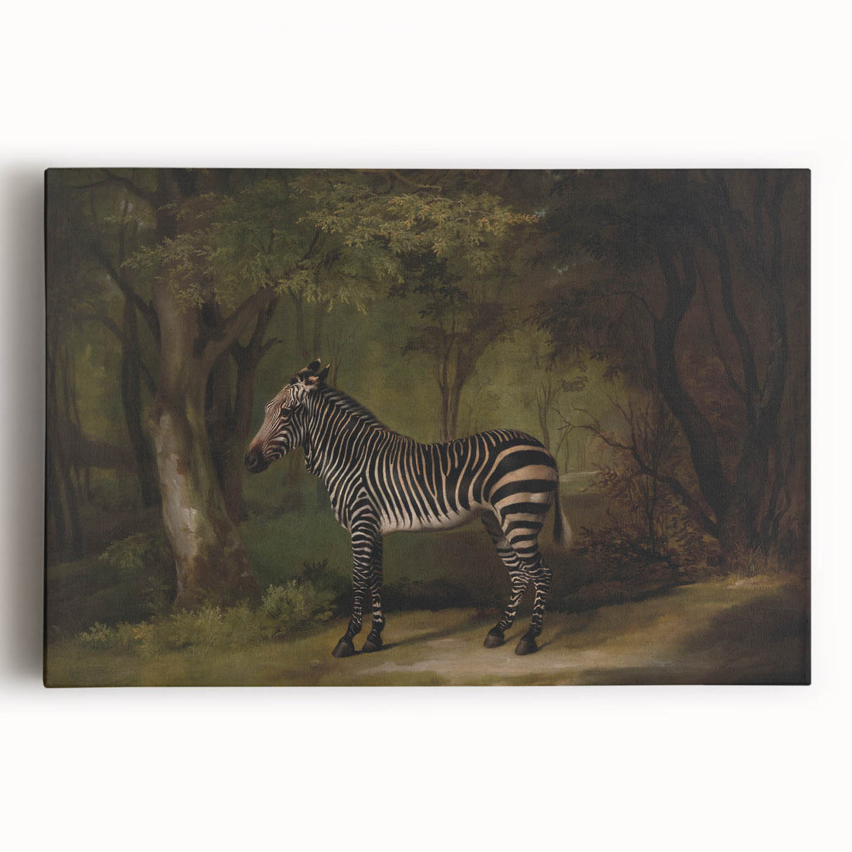 Realism Wildlife Art Print | Zebra in Forest by George Stubbs | Fine Decor