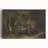 Realism Wildlife Art Print | Zebra in Forest by George Stubbs | Fine Decor