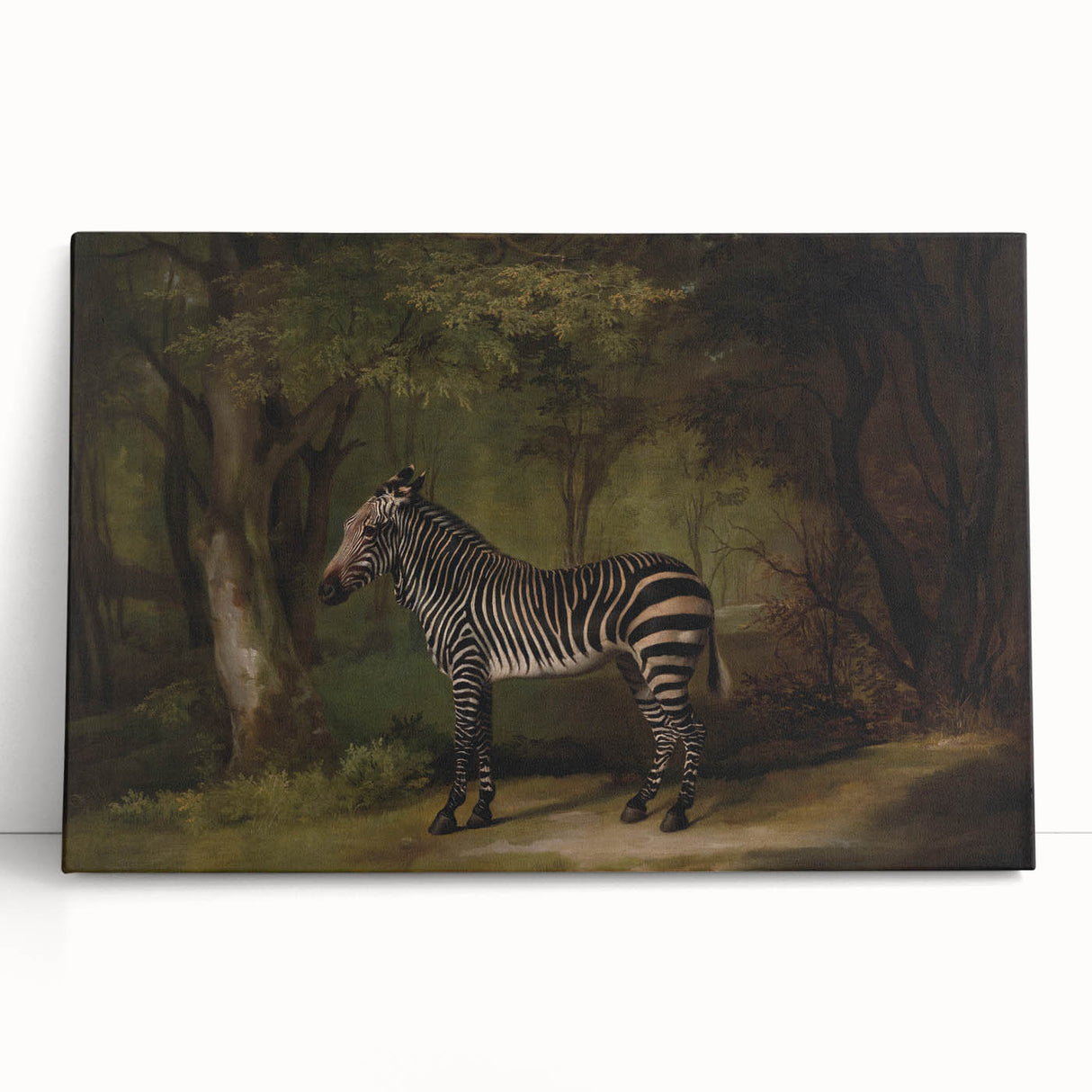 Realism Wildlife Art Print | Zebra in Forest by George Stubbs | Fine Decor
