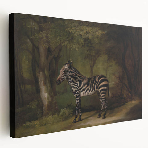 Realism Wildlife Art Print | Zebra in Forest by George Stubbs | Fine Decor