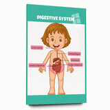 STEM Learning Wall Art - Digestive System Educational Chart