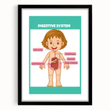 STEM Learning Wall Art - Digestive System Educational Chart