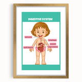 STEM Learning Wall Art - Digestive System Educational Chart