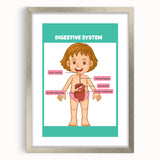 STEM Learning Wall Art - Digestive System Educational Chart