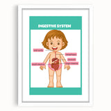 STEM Learning Wall Art - Digestive System Educational Chart