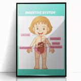 STEM Learning Wall Art - Digestive System Educational Chart