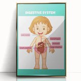 STEM Learning Wall Art - Digestive System Educational Chart