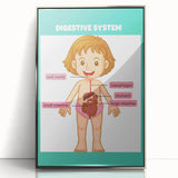 STEM Learning Wall Art - Digestive System Educational Chart