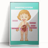 STEM Learning Wall Art - Digestive System Educational Chart