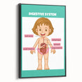 STEM Learning Wall Art - Digestive System Educational Chart