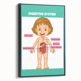 STEM Learning Wall Art - Digestive System Educational Chart