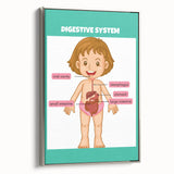 STEM Learning Wall Art - Digestive System Educational Chart