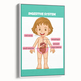 STEM Learning Wall Art - Digestive System Educational Chart