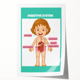 STEM Learning Wall Art - Digestive System Educational Chart