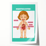 STEM Learning Wall Art - Digestive System Educational Chart
