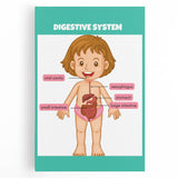 STEM Learning Wall Art - Digestive System Educational Chart