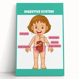 STEM Learning Wall Art - Digestive System Educational Chart