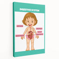 STEM Learning Wall Art - Digestive System Educational Chart
