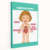 STEM Learning Wall Art - Digestive System Educational Chart