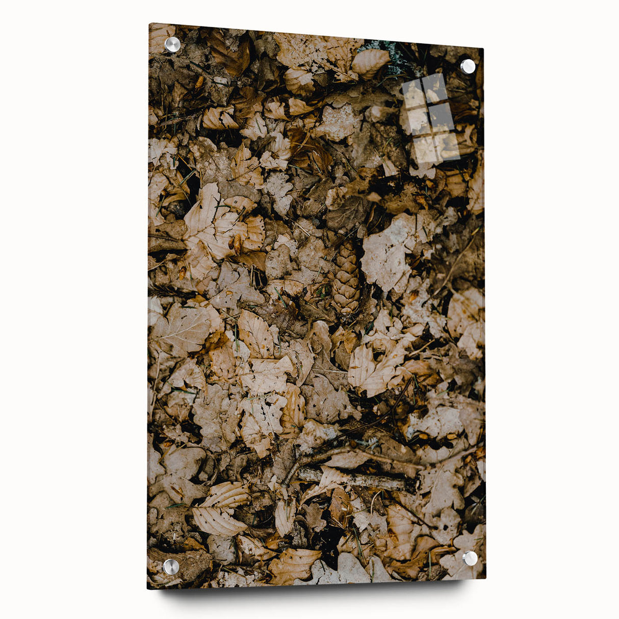 Large abstract wall art on acrylic glass depicting fall scenes in muted earth tones, ideal for bedroom or dining room decor.