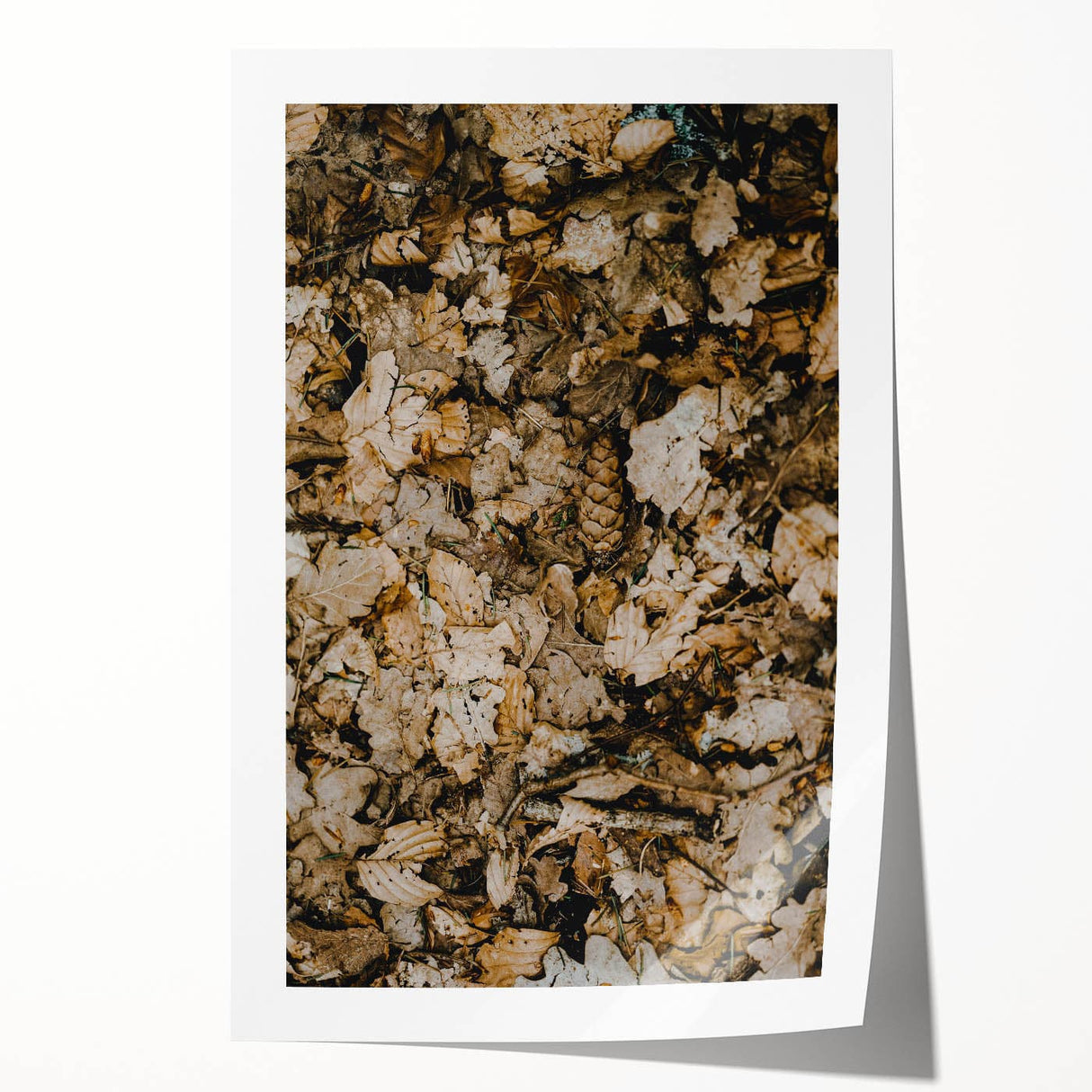 Extra large rolled print featuring a fall-inspired floral design in warm orange and red tones.