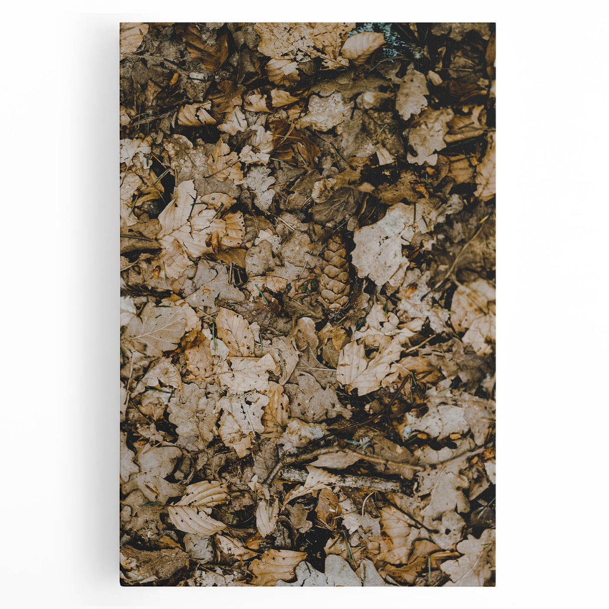 Large black and white stretched canvas of a tree in fall, suitable as kitchen wall art.