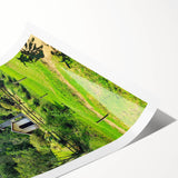 Extra large rolled print of line art flowers in black on white, suitable for large living room wall art.