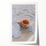 Extra large rolled canvas featuring a floral design in vibrant summer colors, ideal for dining room wall art.