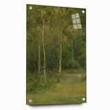 Modern Wall Art: Wooded Landscape with Birches – Serene Nature Scene