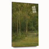 Modern Wall Art: Wooded Landscape with Birches – Serene Nature Scene