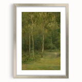 Modern Wall Art: Wooded Landscape with Birches – Serene Nature Scene