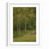 Modern Wall Art: Wooded Landscape with Birches – Serene Nature Scene