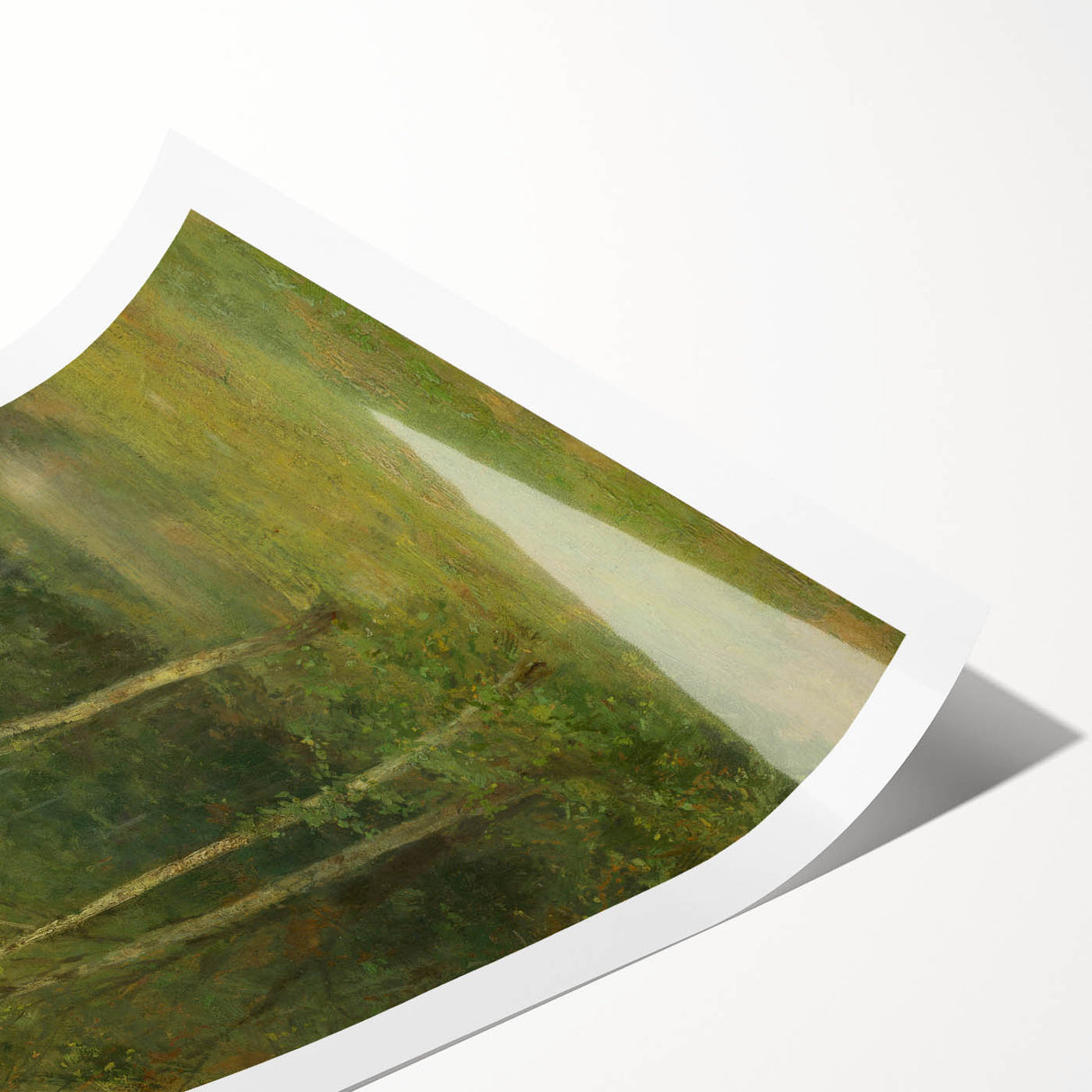 Modern Wall Art: Wooded Landscape with Birches – Serene Nature Scene