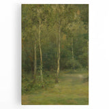 Modern Wall Art: Wooded Landscape with Birches – Serene Nature Scene