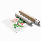 Neoclassical Art Prints: Robinia Rosea (Robinier Rose) by Redouté