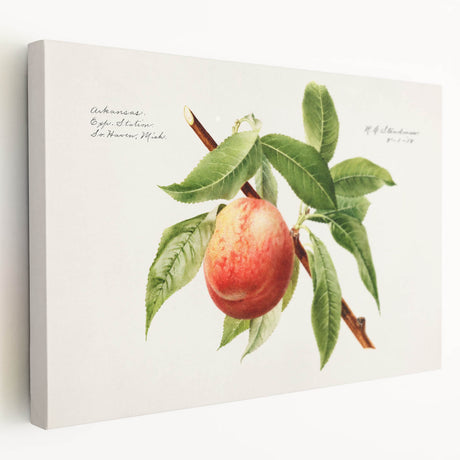 Large canvas wall art featuring an array of vibrant fruits, ideal for kitchen decor.