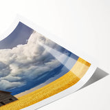 Landscape canvas print showcasing a serene barn scene with lush green fields and a vivid blue sky, elegantly rolled and packaged in a protective tube. Ideal for rustic home decor enthusiasts.