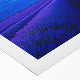 Vibrant rolled canvas print showcasing a serene landscape of golden fields under a clear blue sky, elegantly packaged in a protective cardboard tube for safe transport. This artwork adds a touch of tranquility and beauty to any space.