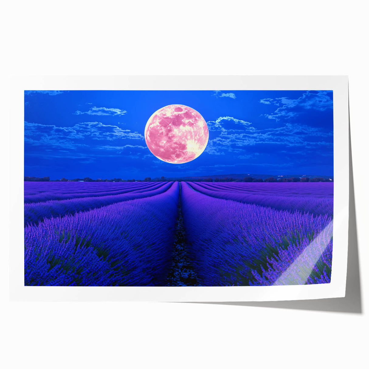 Vibrant rolled canvas print showcasing a serene landscape of lush green fields under a bright blue sky, expertly packaged in a protective cardboard tube for safe shipping.
