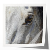 Large glossy print of a close-up floral image in vibrant pinks and greens, ideal for dining room or bathroom wall art.