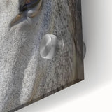 Large abstract wall art of a close-up animal image in muted earth tones on acrylic glass, ideal for dining room art.