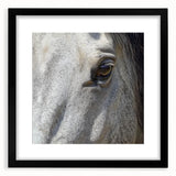 Extra large abstract art print featuring a textured, colorful depiction of nature and animals on a black framed canvas.