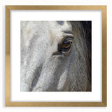 Extra large abstract art print featuring textured brush strokes in earthy tones, framed in gold, ideal for living room decor.