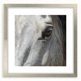 Textured art print featuring abstract, close-up animal patterns in gray tones, framed in silver, ideal for bedroom art.